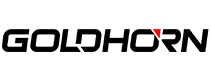 DSP Amplifier